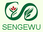 全网最准资料朱雀网16688